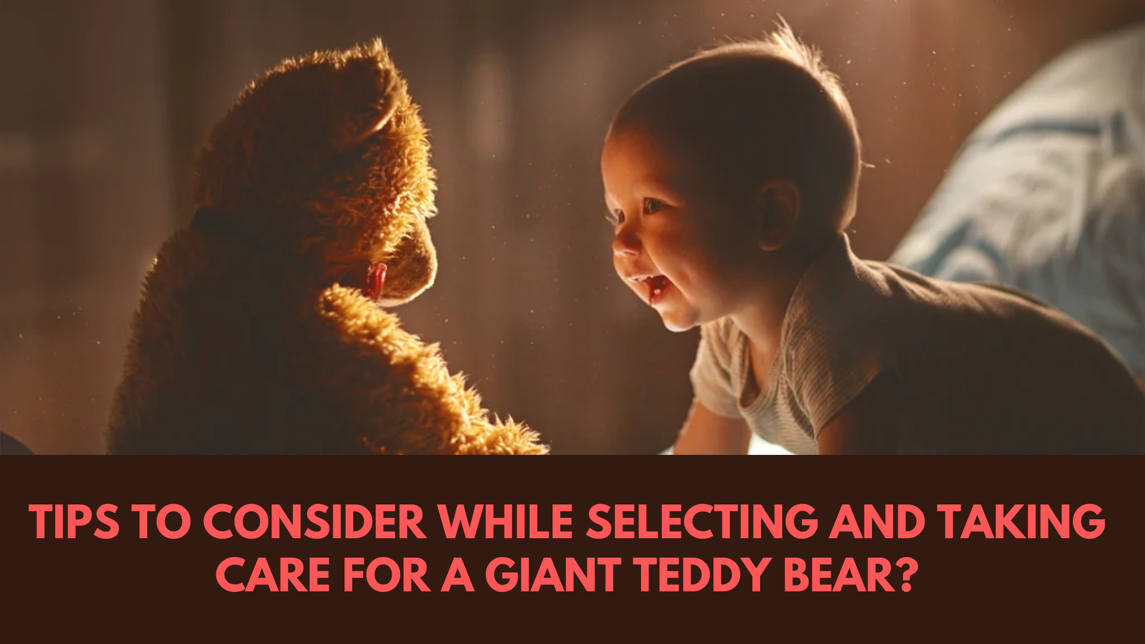 Tips To Consider While Selecting  And Taking Care For A Giant Teddy Bear?