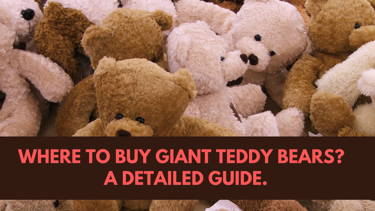 Where to Buy Giant Teddy Bears? A Detail guide to Choose Teddies Boo Bear