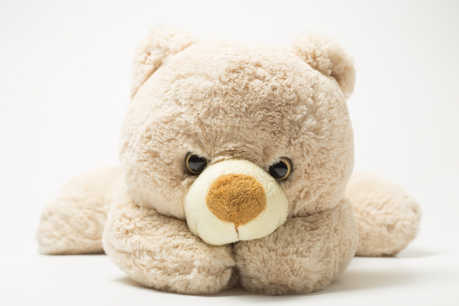 Gift Giant Teddy Bears This Christmas To Your Loved Ones