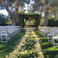 Thumbnail for 1250 Yellow Rose Petals | Real Fresh | $50 | Boo Bear Factory (Flower Ad-On)