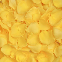 Thumbnail for 200 Yellow Rose Petals | Real Fresh | $12.99 | Boo Bear Factory (Flower Ad-On)