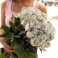 Thumbnail for Birthday Gift Silver Roses