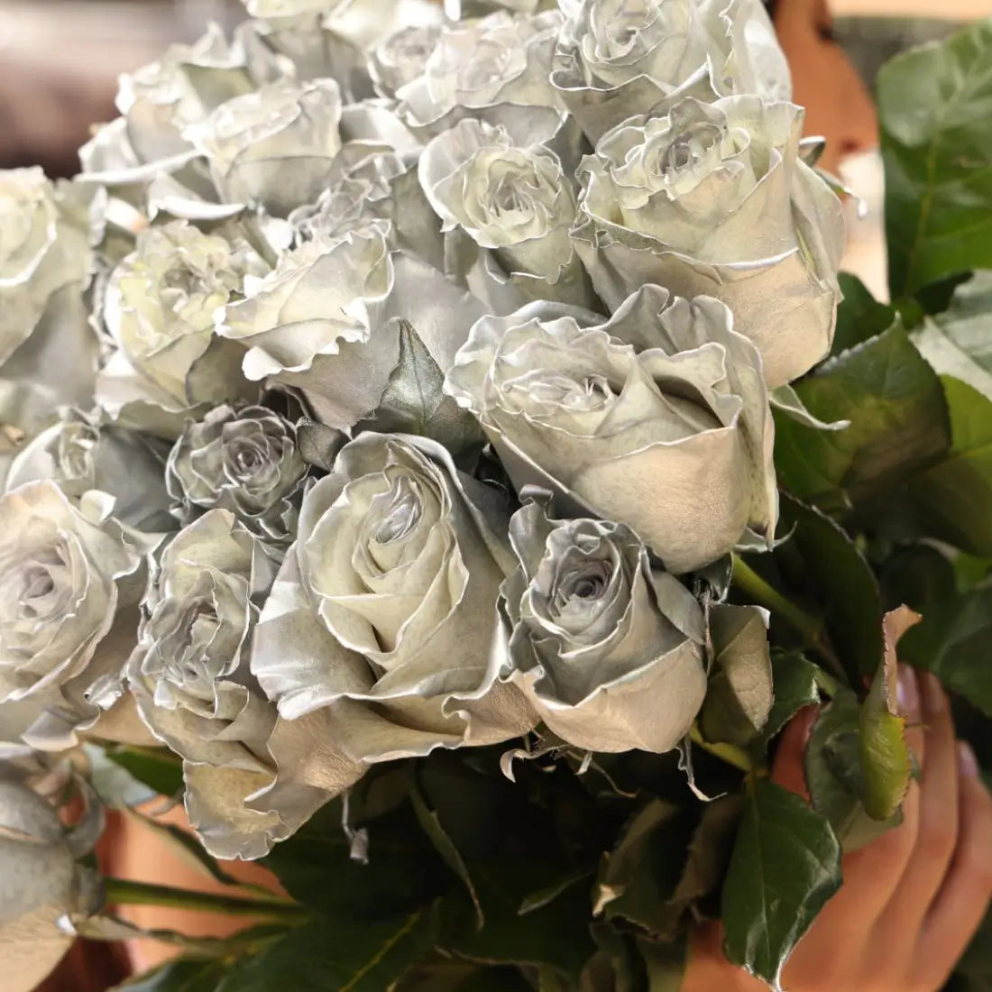 Long Stem Silver Roses