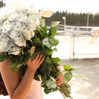 Thumbnail for Silver Dipped Rose