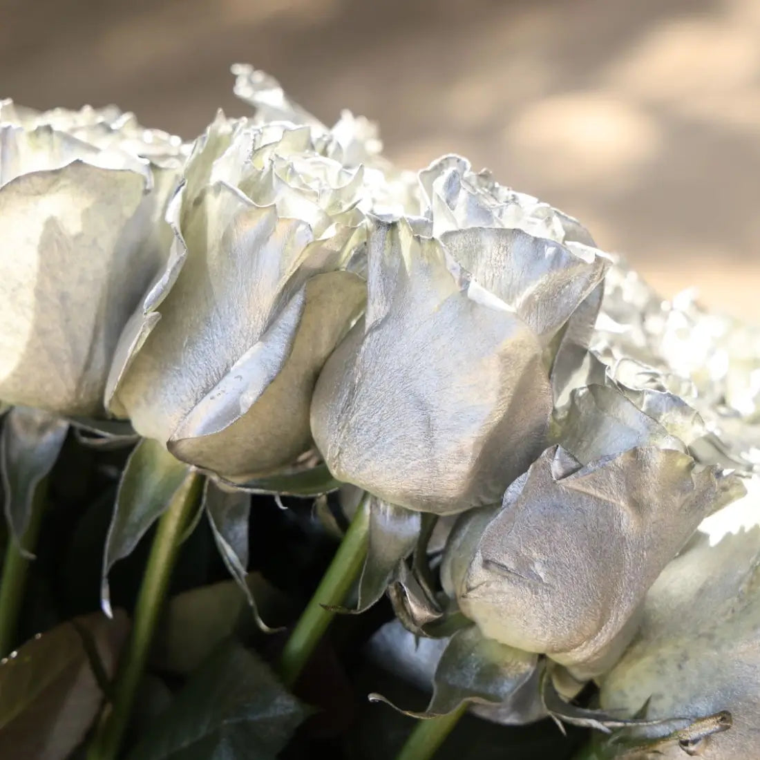 Silver Rose for Romantic Occasions