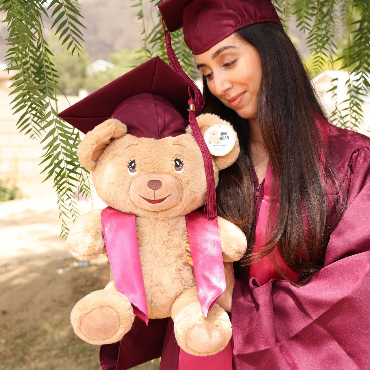 graduation bear with maroon burgundy cap