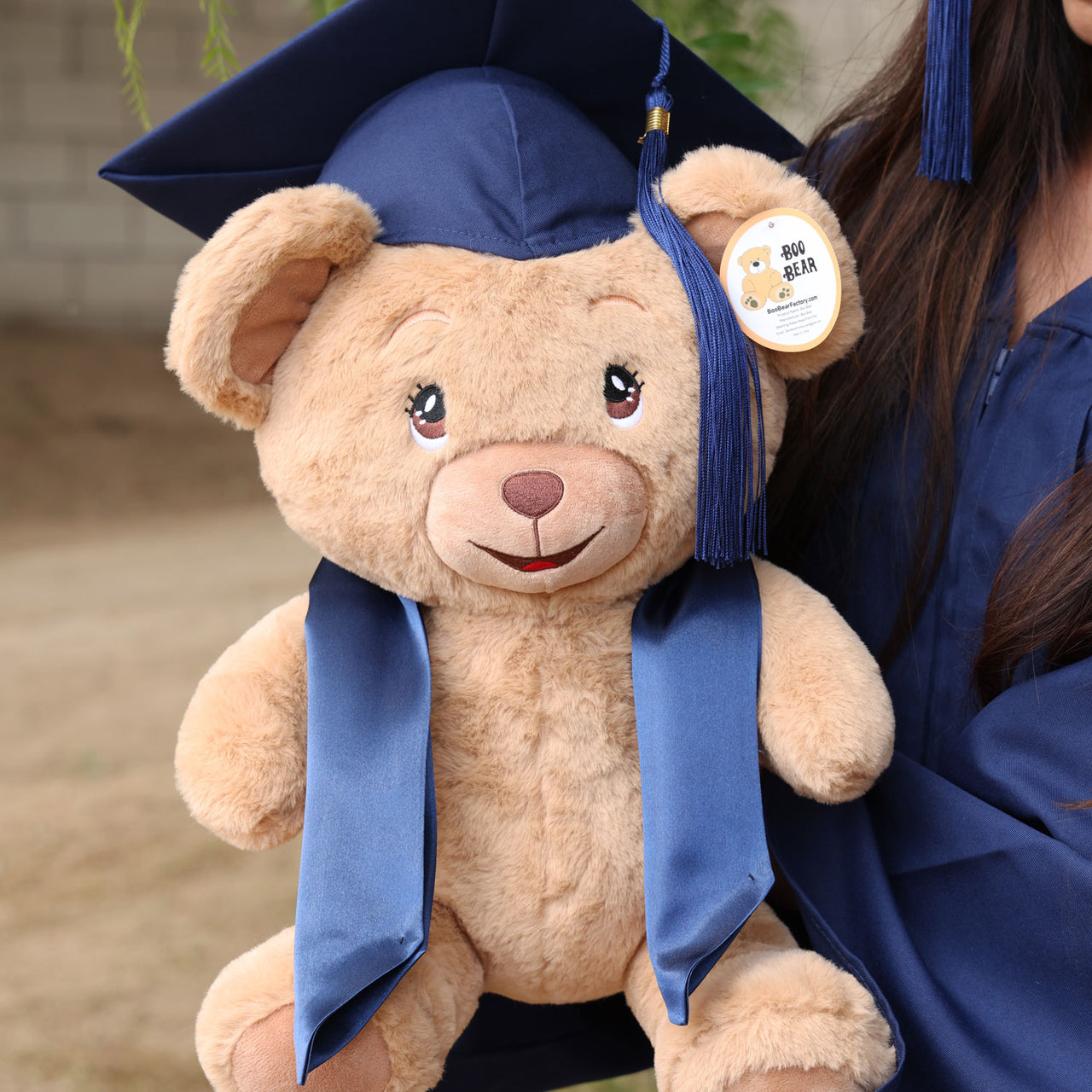 graduation bear with navy blue cap