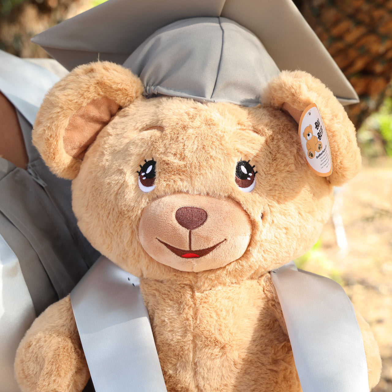 graduation bear with silver cap and gown