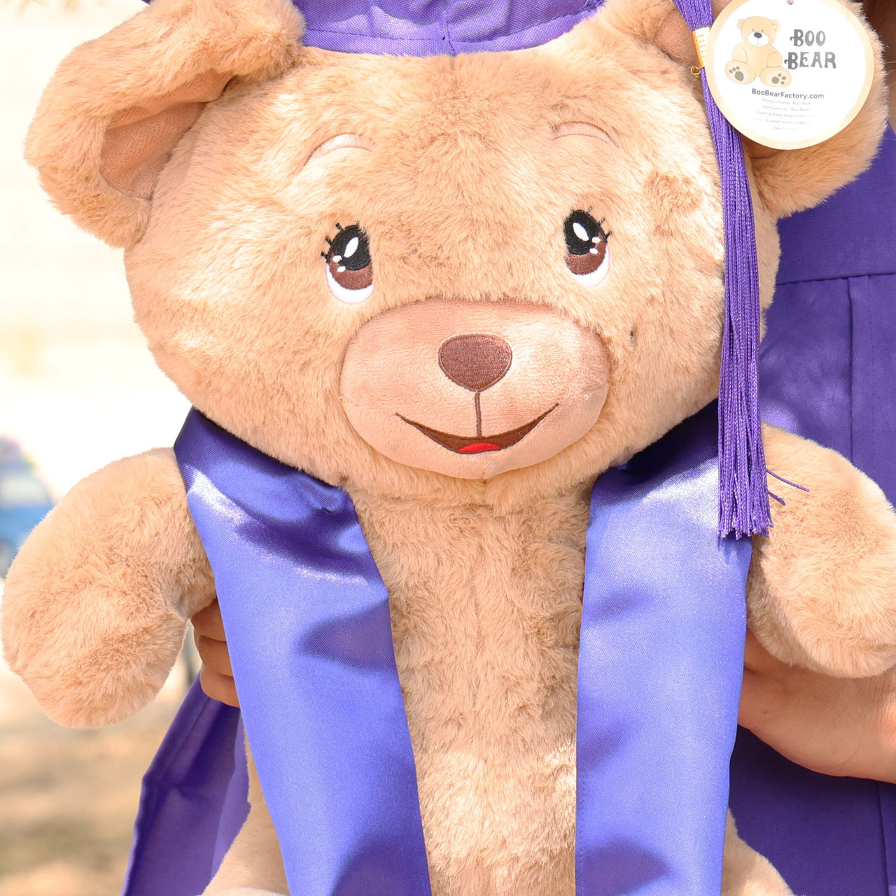 graduation teddy bear plush purple cap and gown