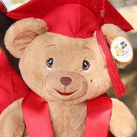Thumbnail for graduation teddy bear with red cap