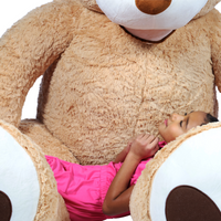 Thumbnail for life size 8 ft teddy