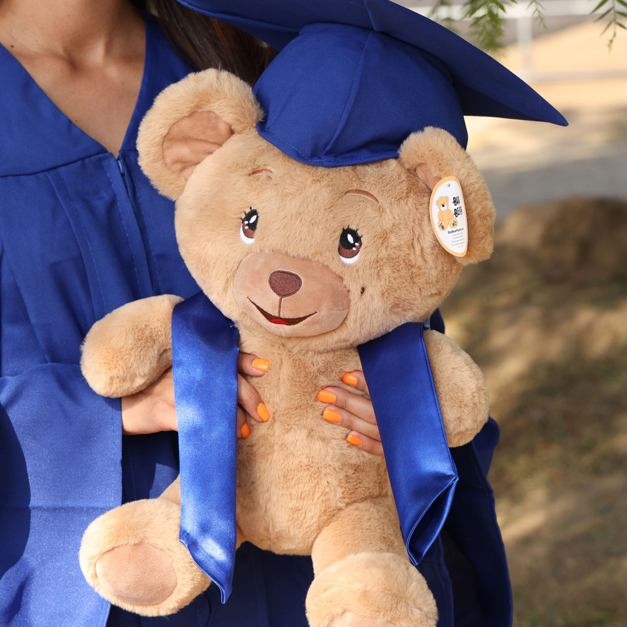 teddy bear for graduation with royal blue