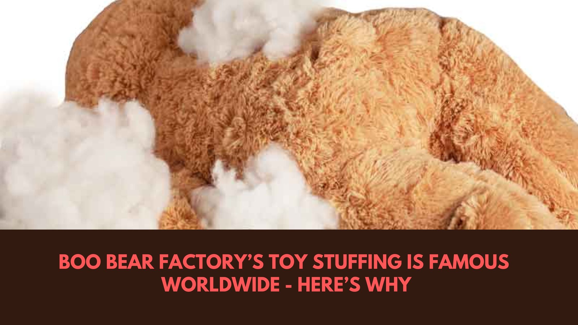Boo Bear Factory's Toy Stuffing is Famous Worldwide - Here's Why