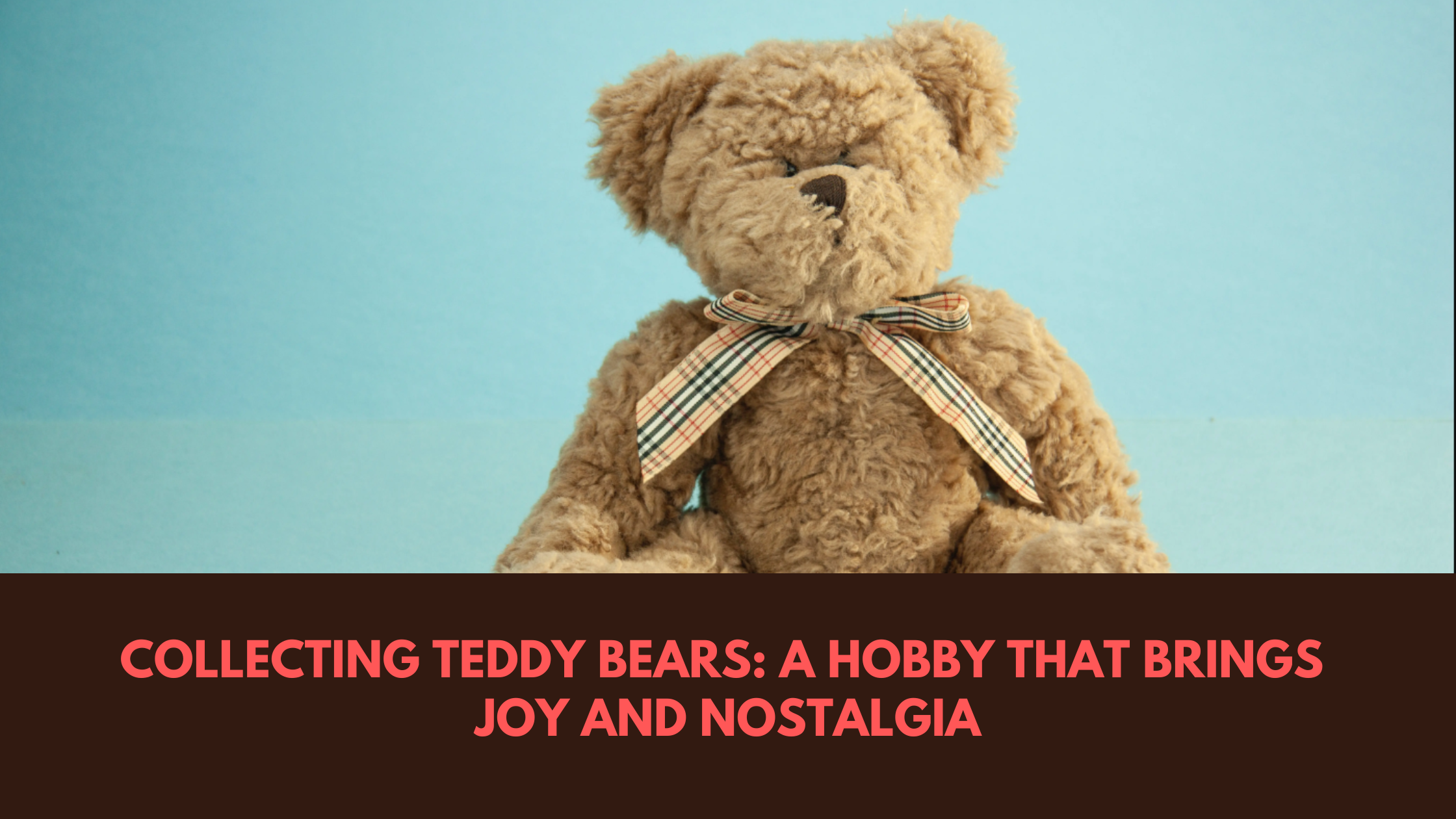 Collecting Teddy Bears: A Hobby That Brings Joy and Nostalgia