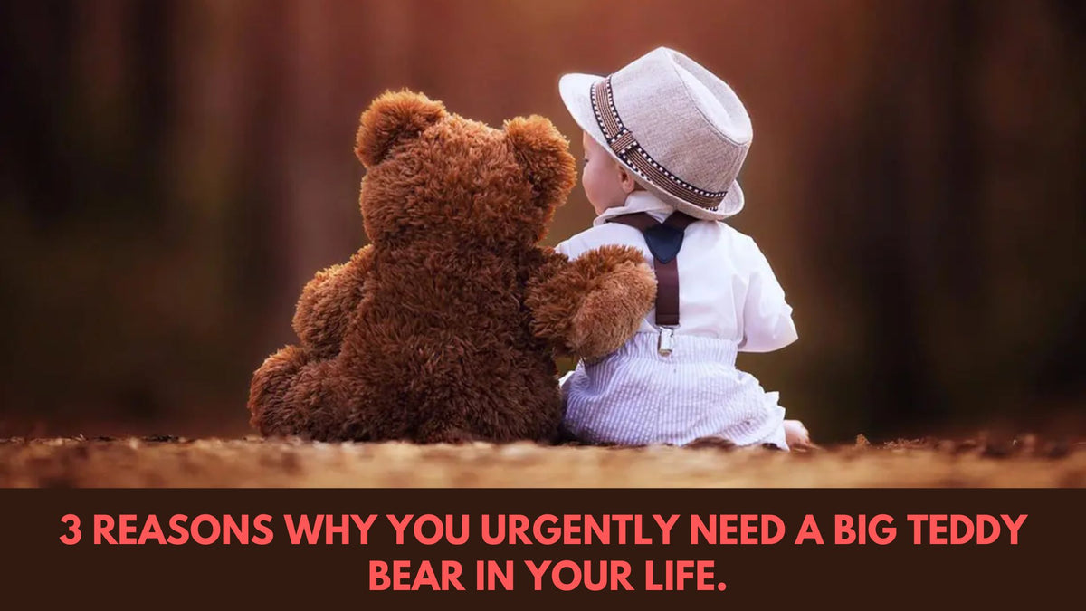 3 reasons why you urgently need a Giant teddy bear in your life - Boo Bear