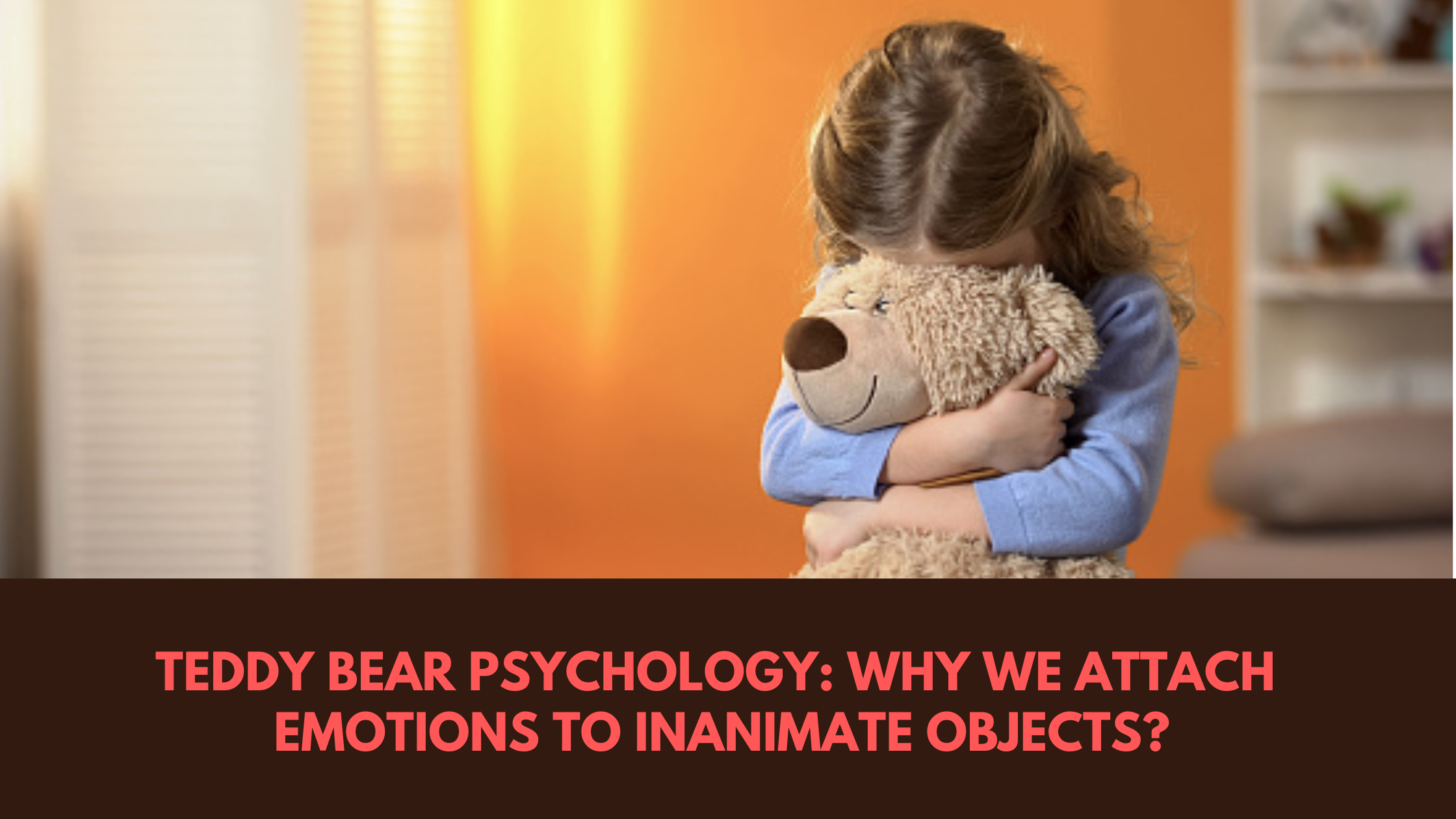 Teddy Bear Psychology: Why We Attach Emotions to Inanimate Objects?