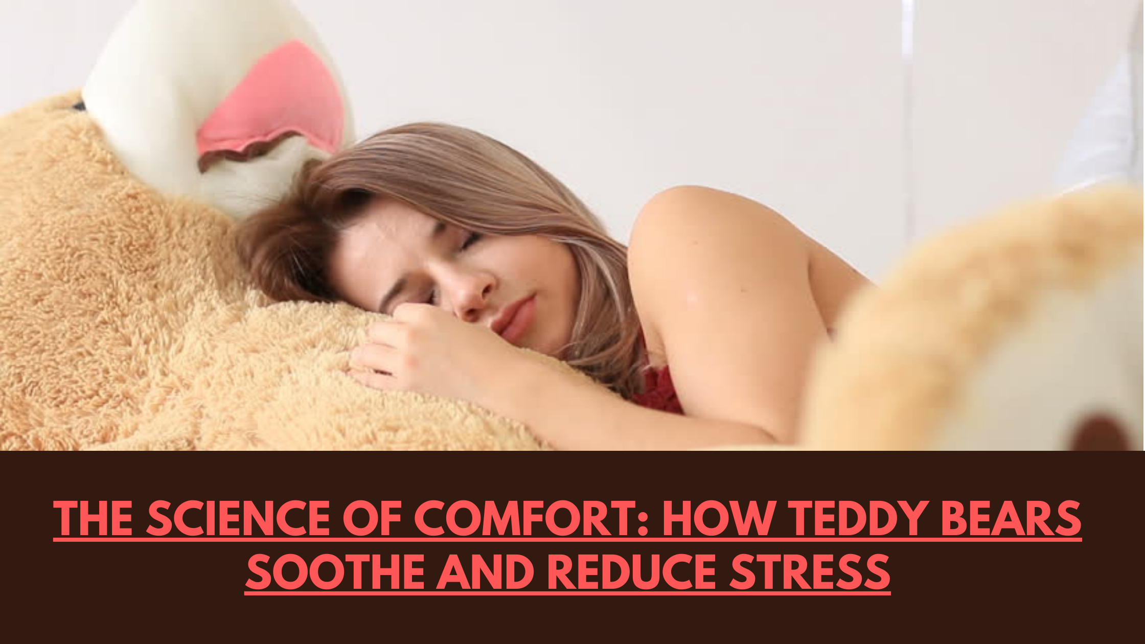 The Science of Comfort: How Teddy Bears Soothe and Reduce Stress