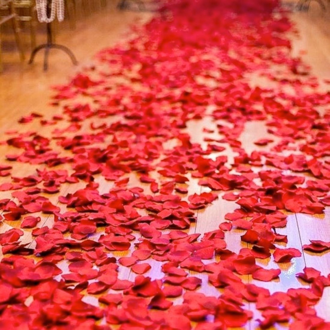 1250 Red Rose Petals | Real Fresh | $50 | Boo Bear Factory