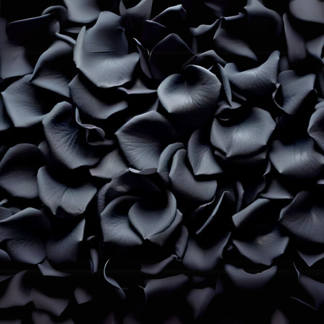 200 Black Rose Petals | Real Fresh | $12.99 | Boo Bear Factory