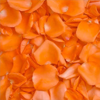 Thumbnail for 200 Orange Rose Petals | Real Fresh | $12.99 | Boo Bear Factory