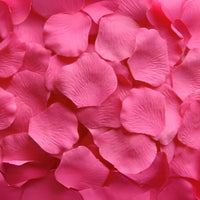 Thumbnail for 200 Pink Rose Petals | Real Fresh | $12.99 | Boo Bear Factory