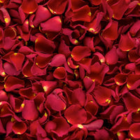 Thumbnail for 200 Red Rose Petals | Real Fresh | $12.99 | Boo Bear Factory