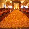 3000 Orange Rose Petals | Real Fresh | $100 | Boo Bear Factory