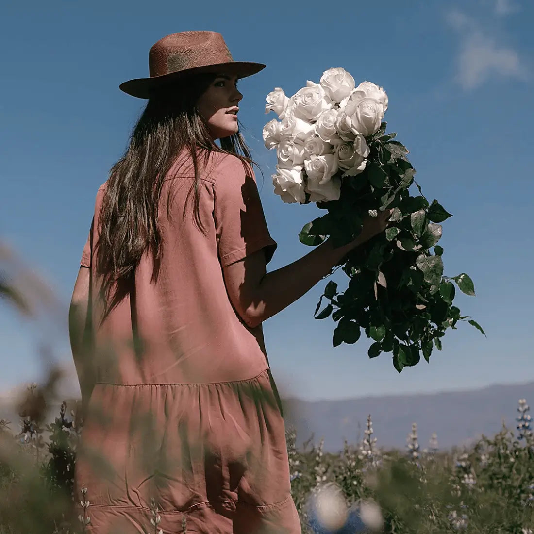 Long Stem Roses  | Harvested Fresh, Delivered Fast, and Ready to Last