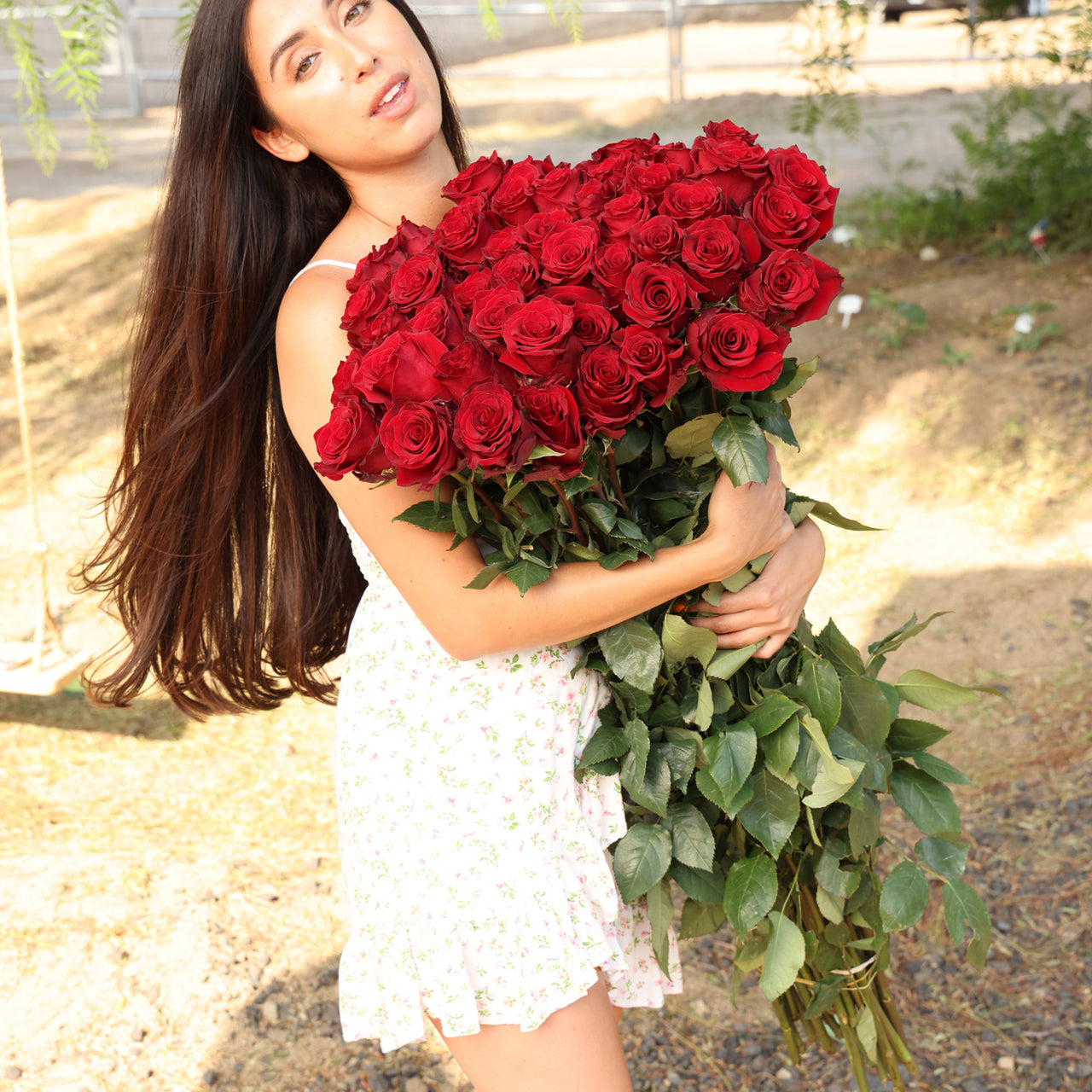 Long Stem Preserved Roses  | Harvested Fresh 24 Inches | Forever Roses