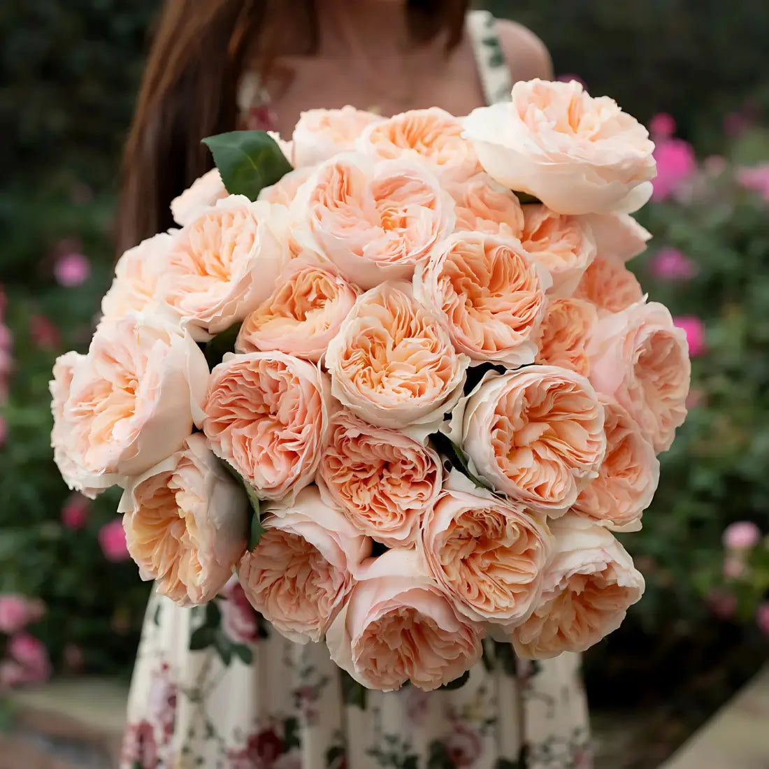 Juliet Roses Bouquet | Most Beloved Wedding Rose Of All Time - Boo Bear