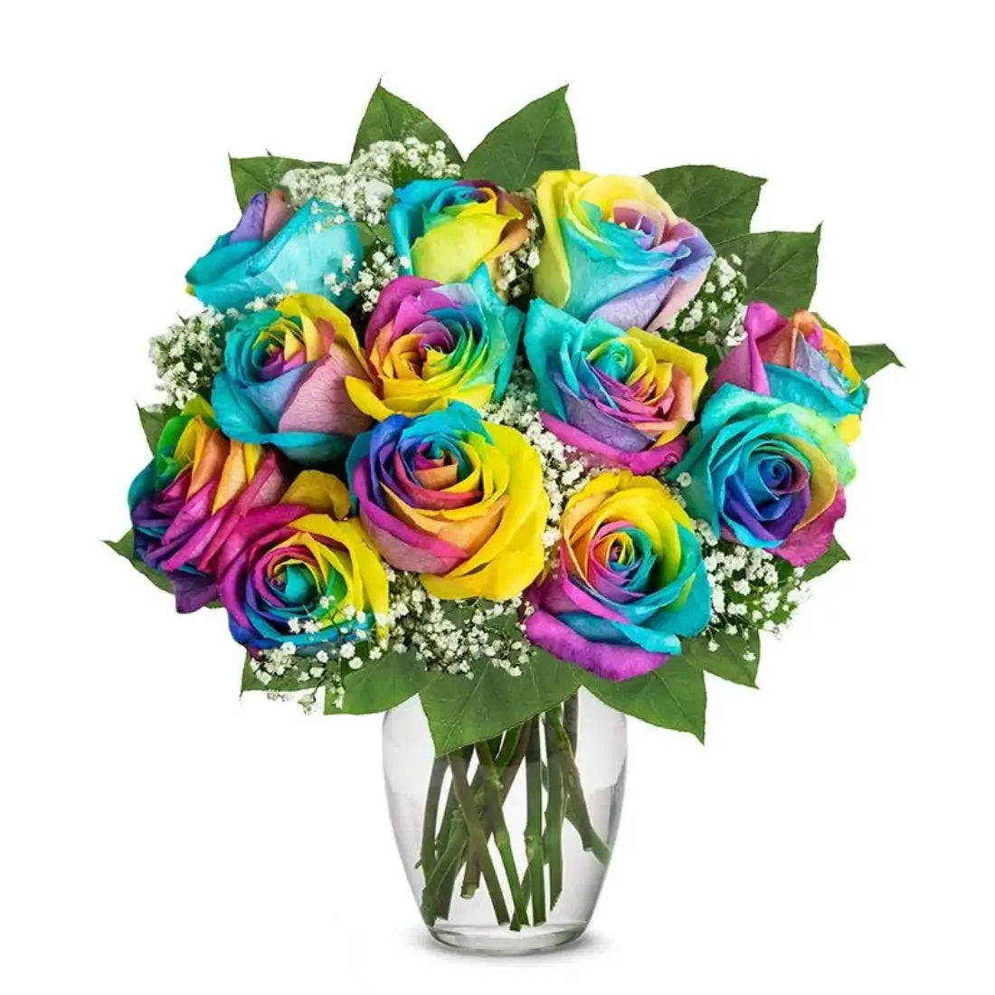 One Dozen Rainbow Roses