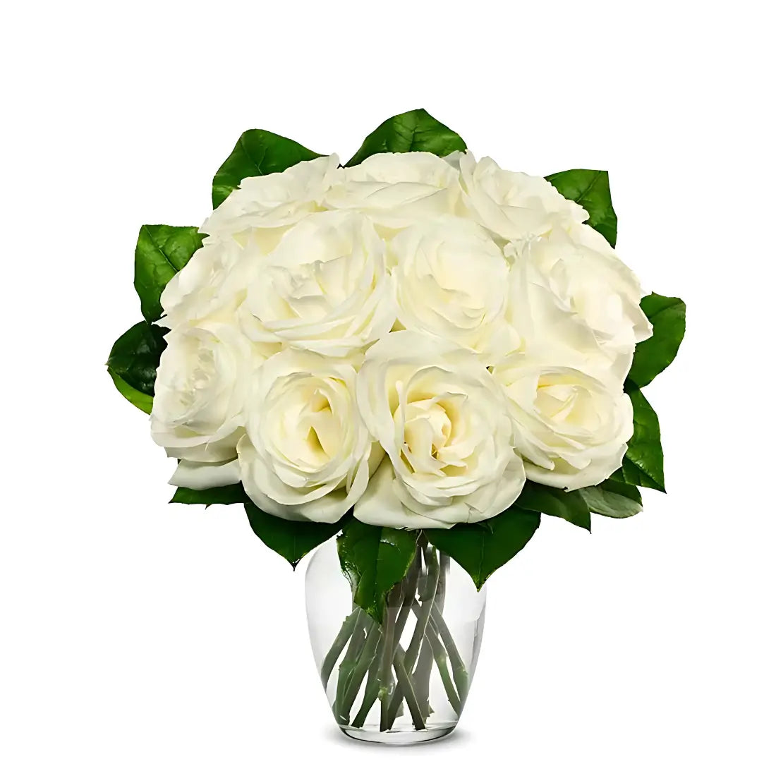 White Roses | Start from $48.99 | Boo Bear Factory