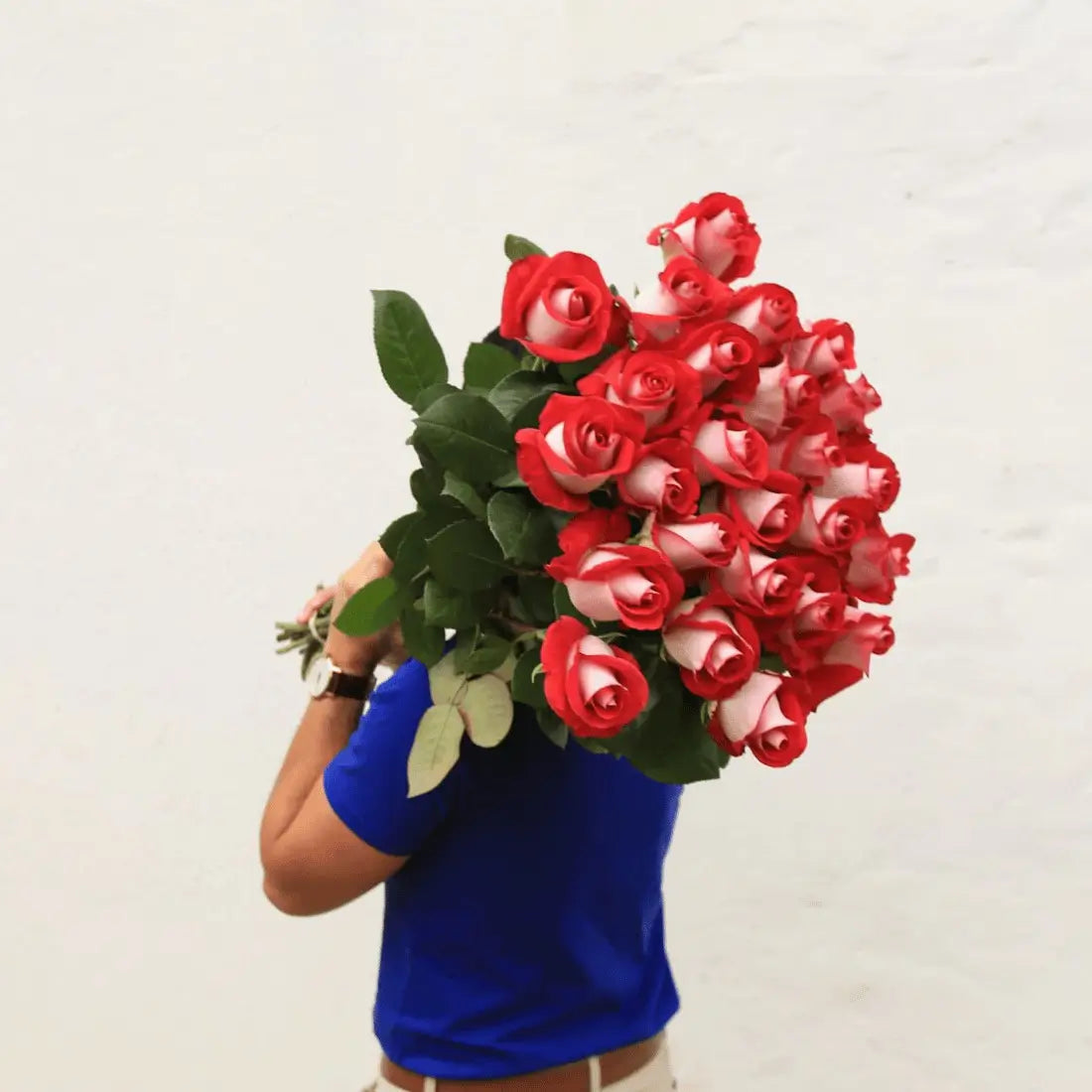 Long Stem Red Explosion Roses | Harvested Fresh 24 Inches - Boo Bear