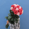 Long Stem Pink Explosion Roses  | Harvested Fresh 24 Inches