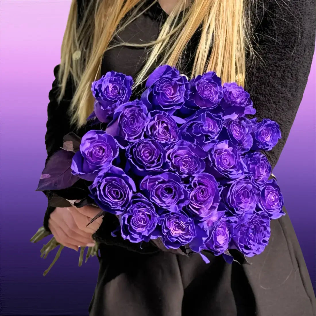 Purple Roses | Real Fresh Long Stem Purple Roses