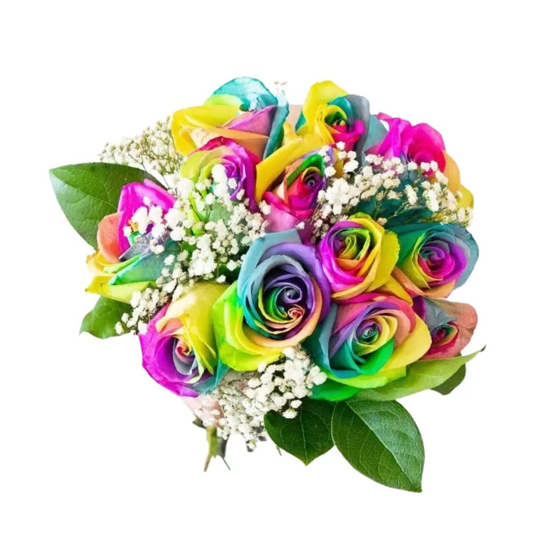 Rainbow Roses