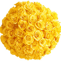 Thumbnail for Yellow Roses – Fresh & Vibrant Yellow Roses Blooms