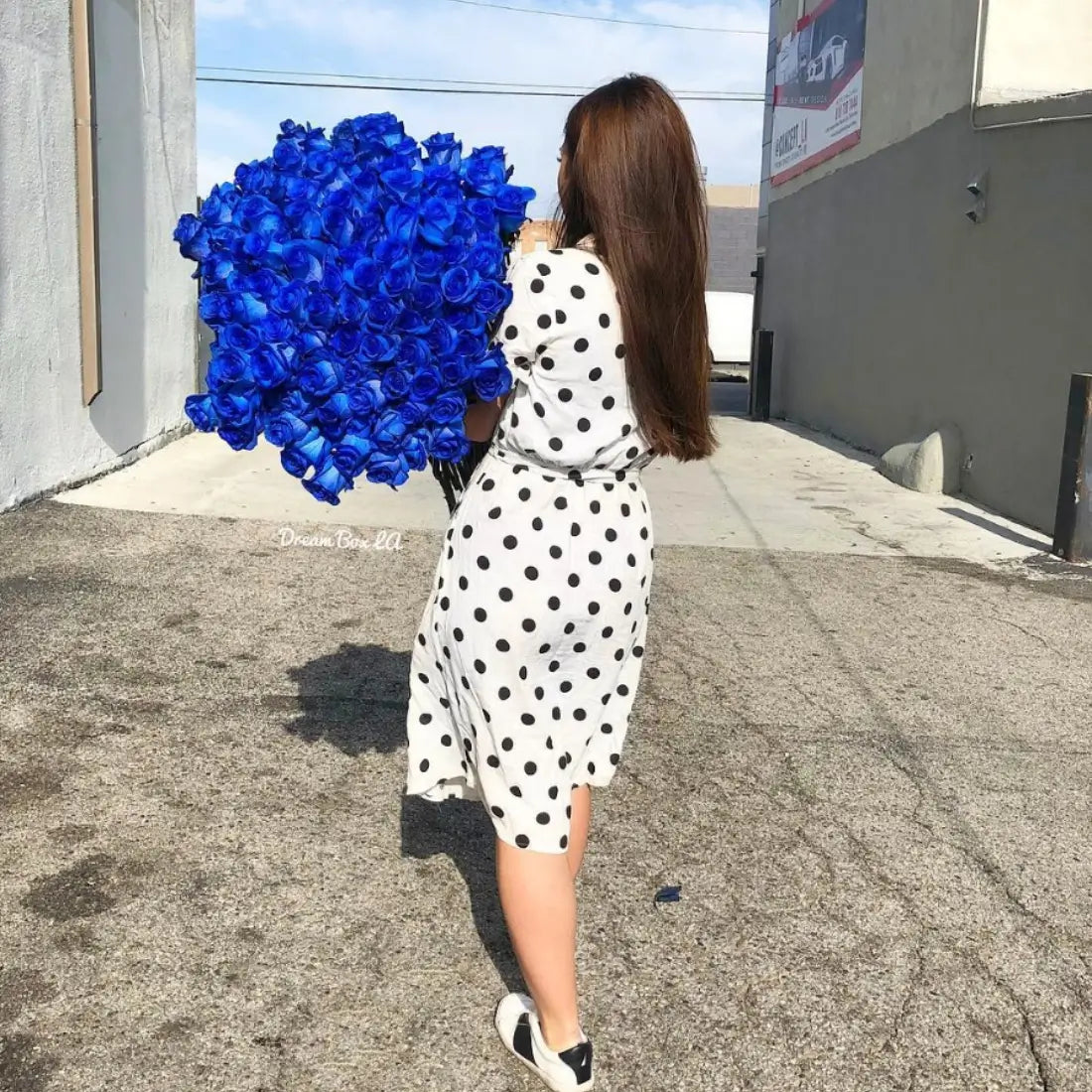 Blue Roses | Harvested Fresh, and Ready to Last