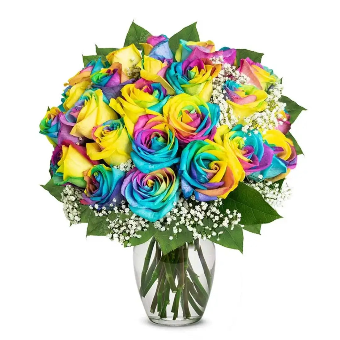 Two Dozen Rainbow Roses