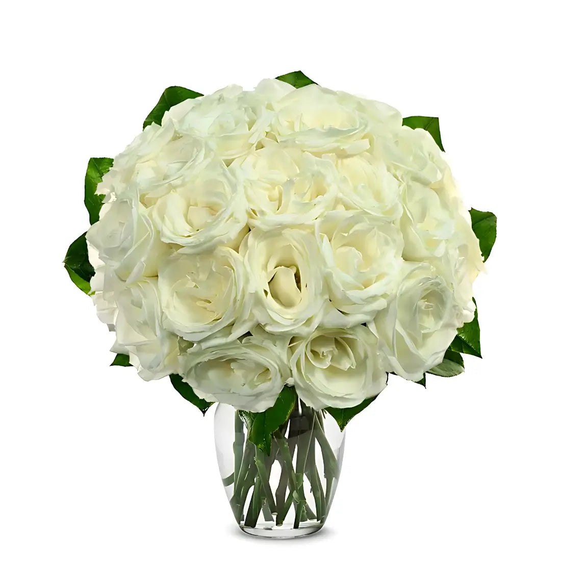 White Roses | Start from $48.99 | Boo Bear Factory