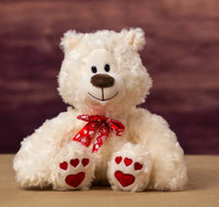 Thumbnail for Valentines Teddy Bear White