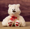 Valentines Teddy Bear - 8 Inches - White