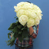 Long Stem Roses  | Harvested Fresh, Delivered Fast, and Ready to Last - White-Explosion / 24 Stems / Long *24 Inches*