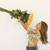 Long Stem Roses  | Harvested Fresh, Delivered Fast, and Ready to Last - Yellow / 24 Stems / Long *24 Inches*