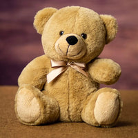 Thumbnail for Light Brown Teddy Bear