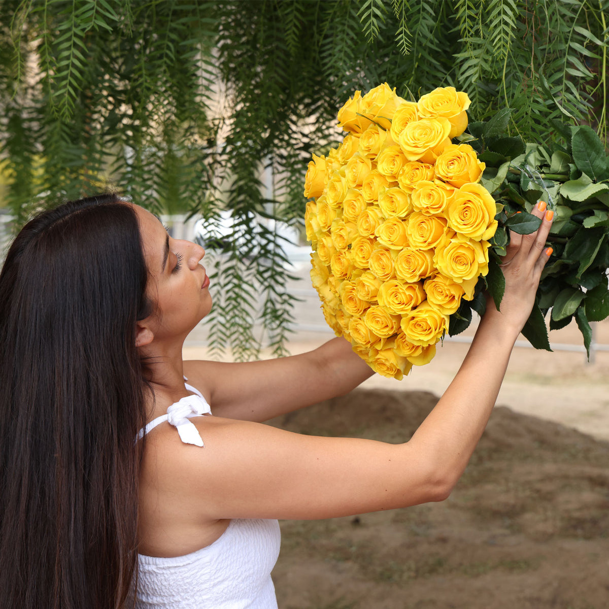 Stunning Yellow Roses – Fresh & Vibrant Blooms - Boo Bear