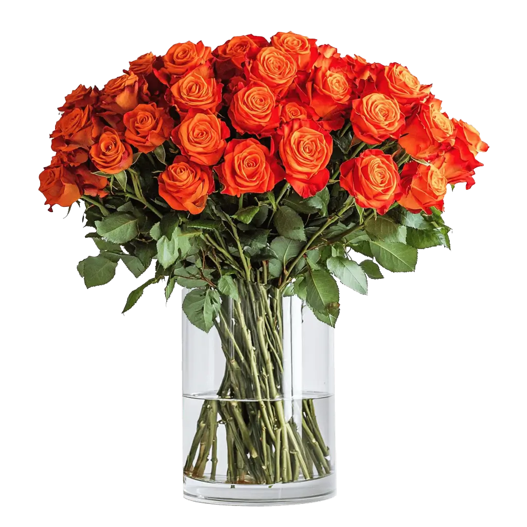 Orange Roses | Harvested Fresh, and Ready to Last ( Small Bear Ad-Ons ...