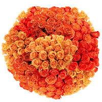 Thumbnail for Orange Roses | Harvested Fresh, and Ready to Last