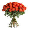 Orange Roses | Harvested Fresh, and Ready to Last