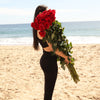 Long Stem Roses  | Giant Roses Premium Jumbo Red Long Stem Roses - 100 Stems / Long *24 Inches*